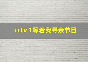 cctv 1等着我寻亲节目